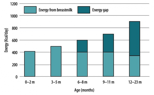Biểu đồ thể hiện nhu cầu năng lượng của trẻ từ 6-24 tháng không đủ nếu trẻ bú sữa mẹ hoàn toàn.