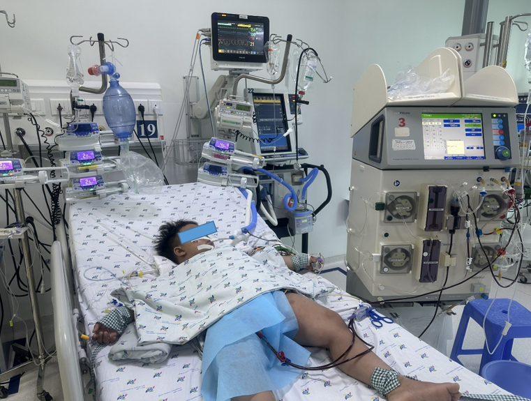Trẻ T. L. B. L 5 tuổi, nam, chẩn đoán nhiễm trùng huyết sốc nhiễm trùng, tổn thương đa cơ quan, được thở máy, lọc máu liên tục, kháng sinh, điều trị hỗ trợ.