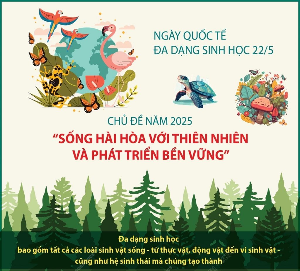 Ngày quốc tế đa dạng sinh học 2025: Sống hài hòa với thiên nhiên và phát triển bền vững